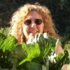 Cultivating taste for optimal organic gardening