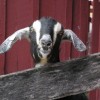 County facility offering day of shear family fun