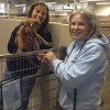 New initiatives turning rescues into cherished pets