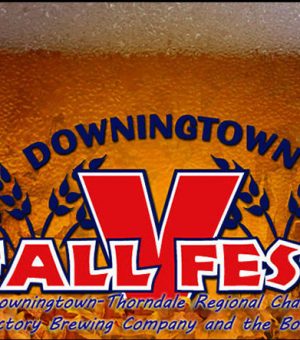 down-fall-fest-logo