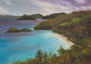 An exhibition by painter Annette Alessi, including “Trunk Bay Beach,” will be on display through May 31. Twenty percent of the proceeds from sales will benefit Children’s Hospital of Philadelphia’s pediatric cancer research. 