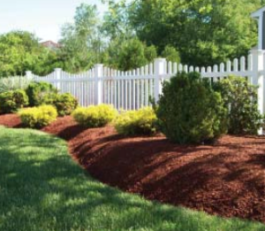 The Chester County Health Department recommends create a woodchip or mulch barrier between wooded areas and yards to reduce the risk of ticks.