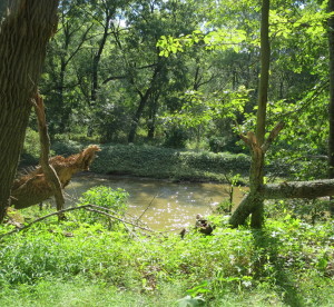 Tuesday’s landscape is expected to be marred by unhealthy air; officials say high ozone levels have created an orange alert, which represents unhealthy pollution levels for sensitive people.