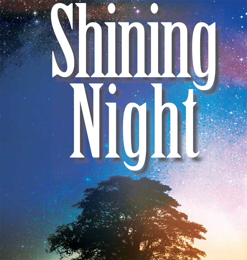 shining night alena pitts