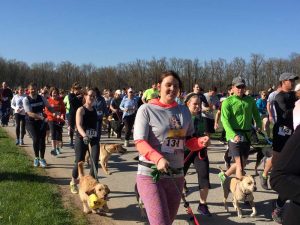 Off they go! The runners and their dogs enjoyed sunny skies and comfortable temperatures for the 5K race that raised nearly $6,000 for LaMancha Animal Rescue.